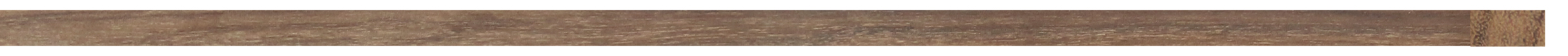 10050008