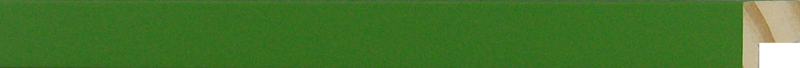 17170294