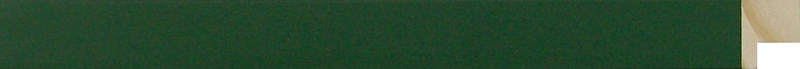 17170295