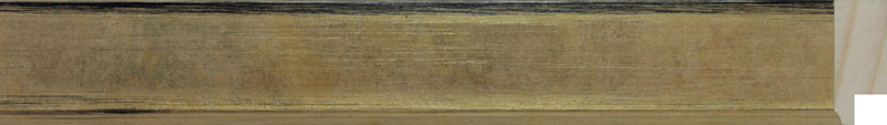 28100753