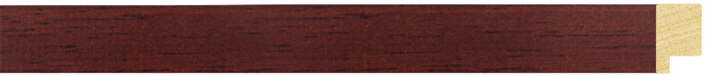 55200239