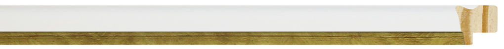 75001009